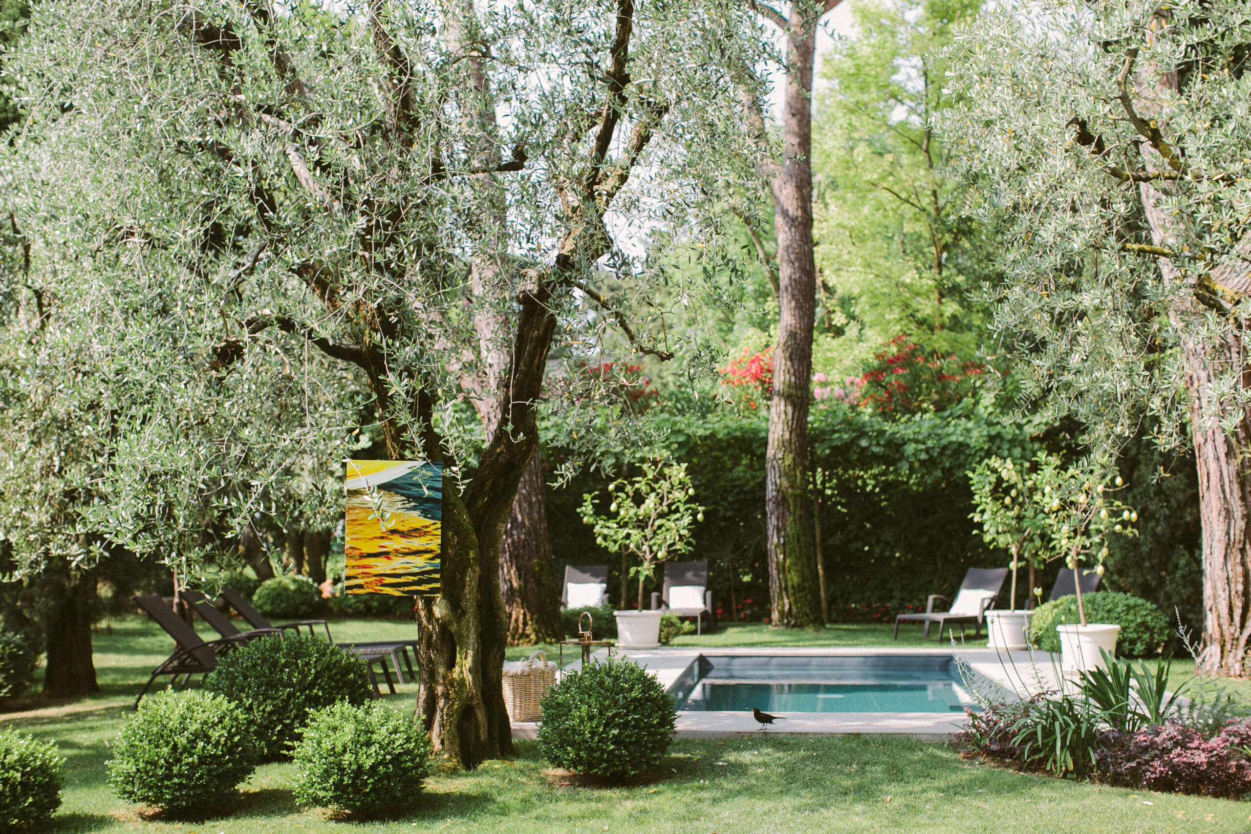 Piscina e  Giardino dell'Hotel Piccola Vela a Desenzano Lago di Garda 